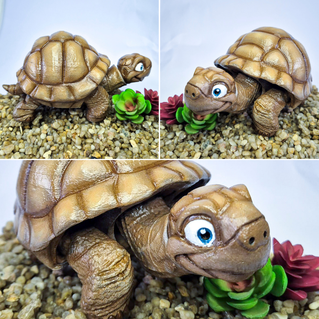 Winston the Tortoise
