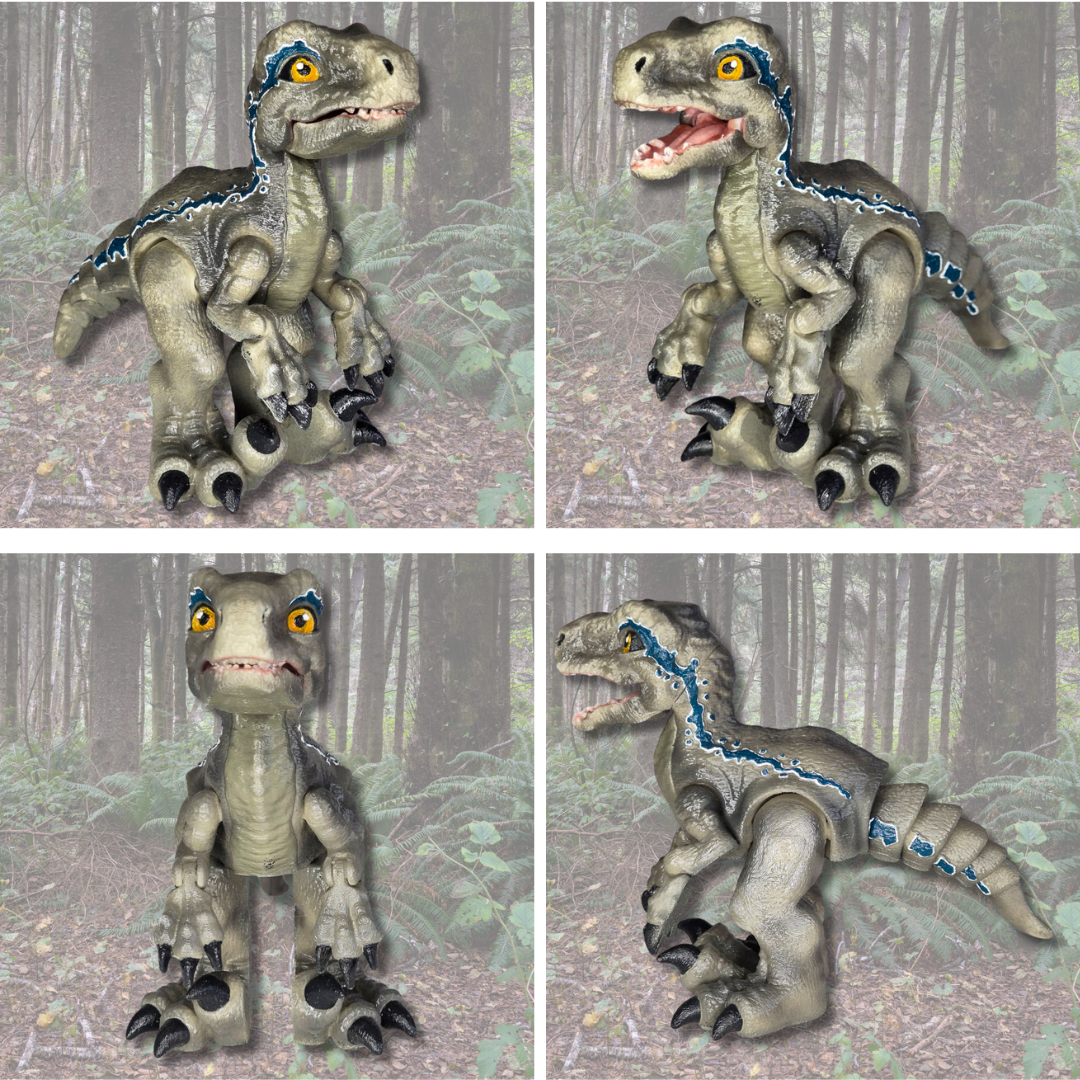 Velociraptor